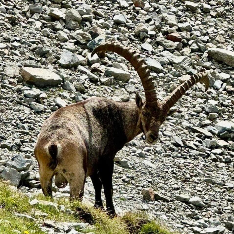Gschwandthof Apartmán Sankt Leonhard im Pitztal